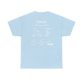 Pisces Constellation Zodiac Tee